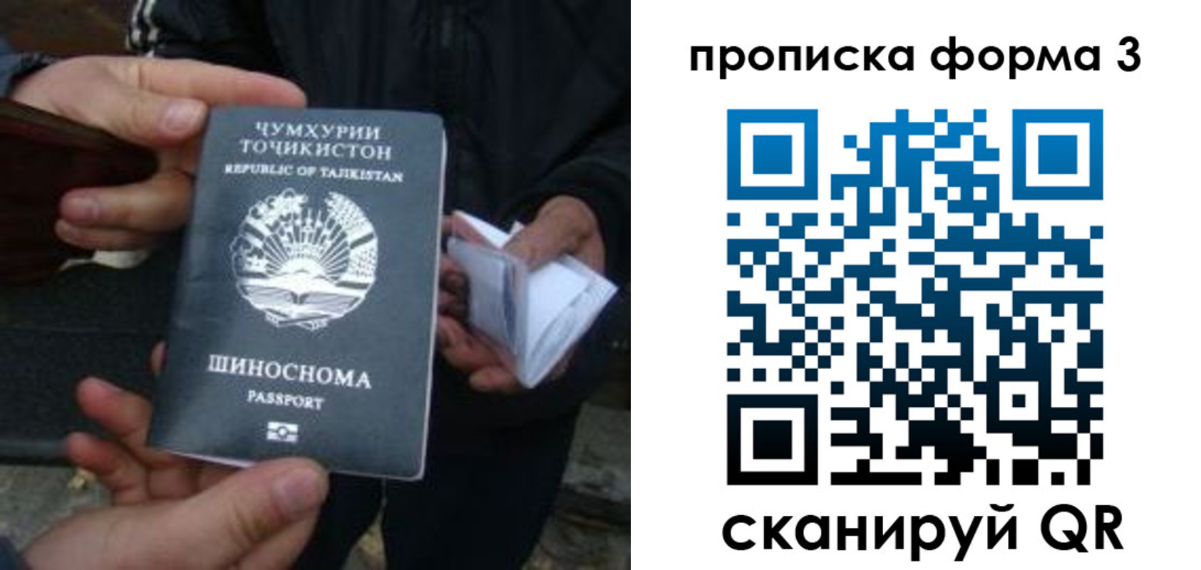прописка 2025 в Шелехове